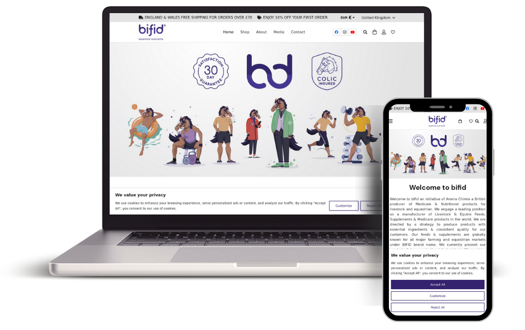 Freelance Web Designer
